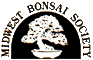 Midwest Bonsai Logo